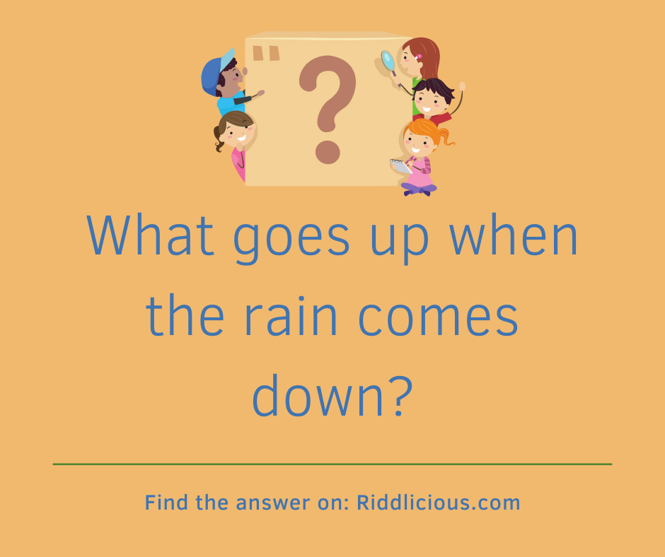 Riddle: What goes up when the rain comes down?