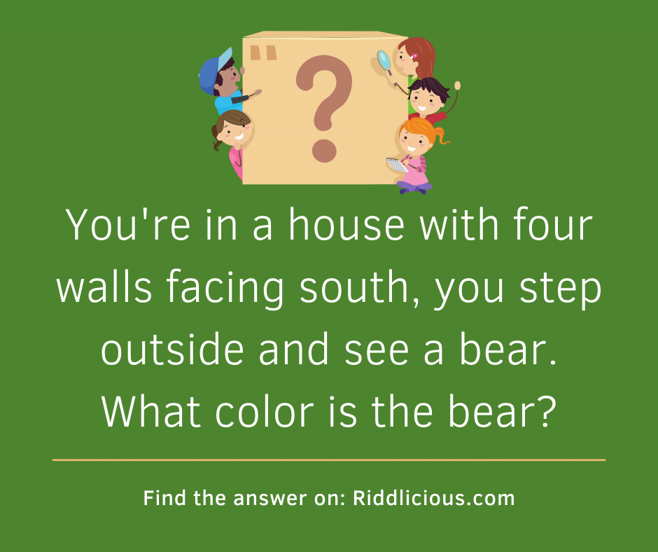 Riddle: You're in a house with four walls facing south, you step outside and see a bear. What color is the bear?