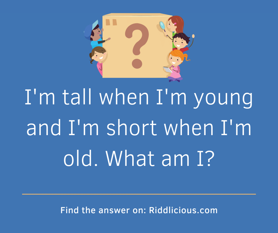 Riddle: I'm tall when I'm young and I'm short when I'm old. What am I?