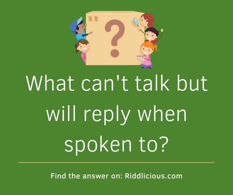What can't talk but will reply when spoken to? | Riddlicious
