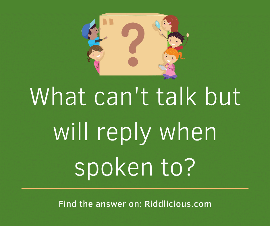 Riddle: What can't talk but will reply when spoken to?