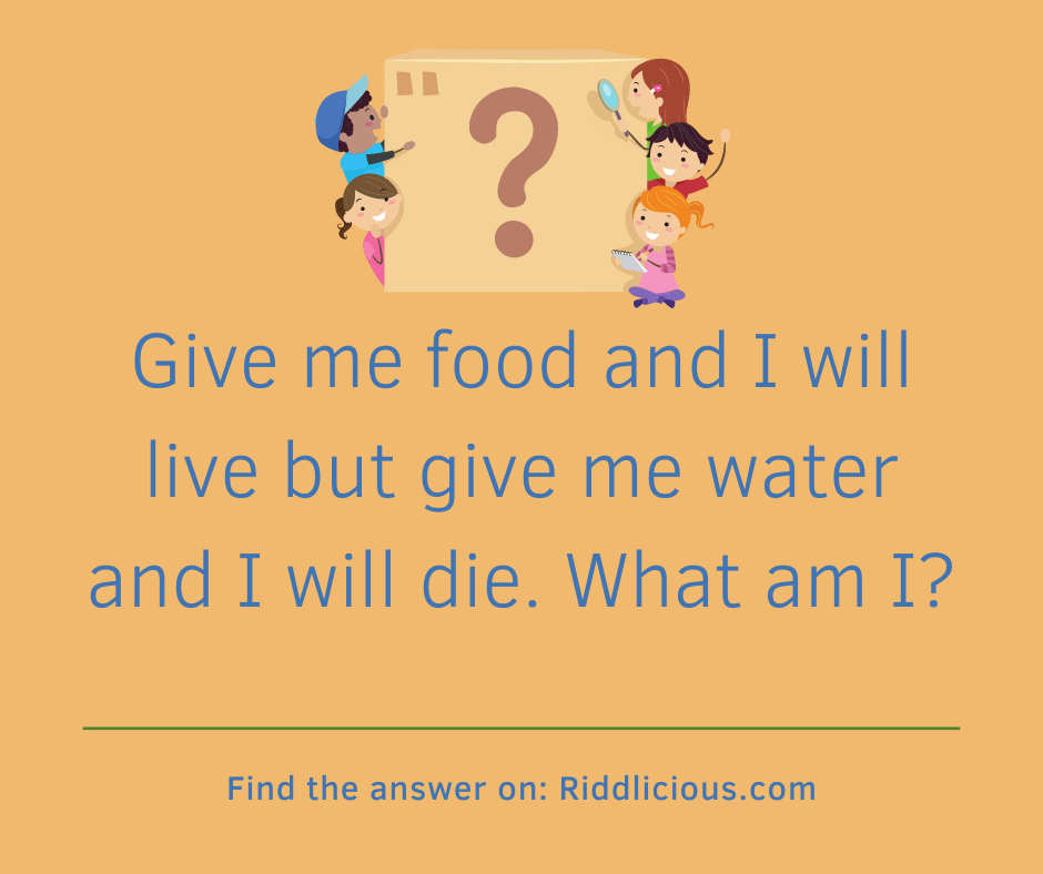 Riddle: Give me food and I will live but give me water and I will die. What am I?