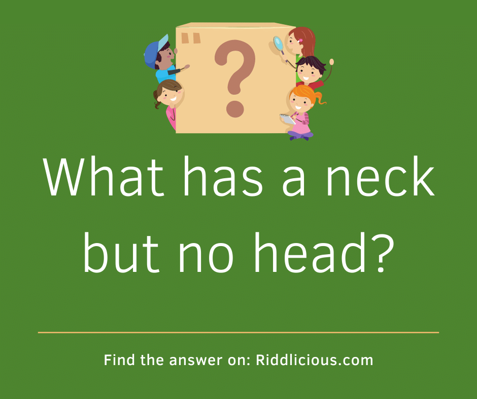 Riddle: What has a neck but no head?