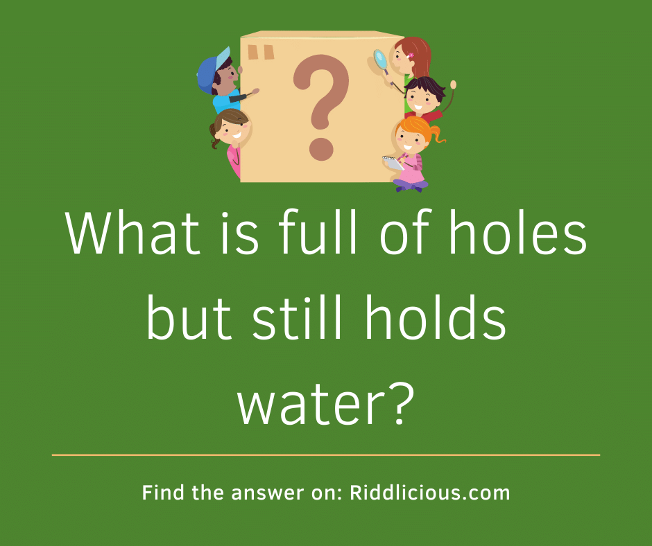 Riddle: What is full of holes but still holds water?