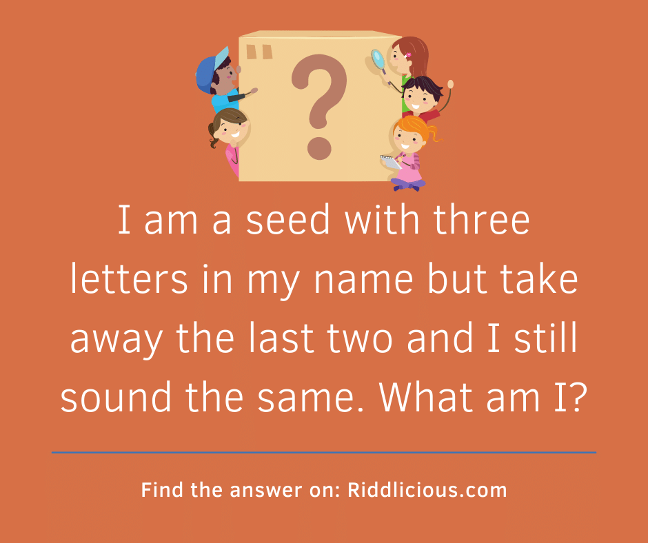 Riddle: I am a seed with three letters in my name but take away the last two and I still sound the same. What am I?