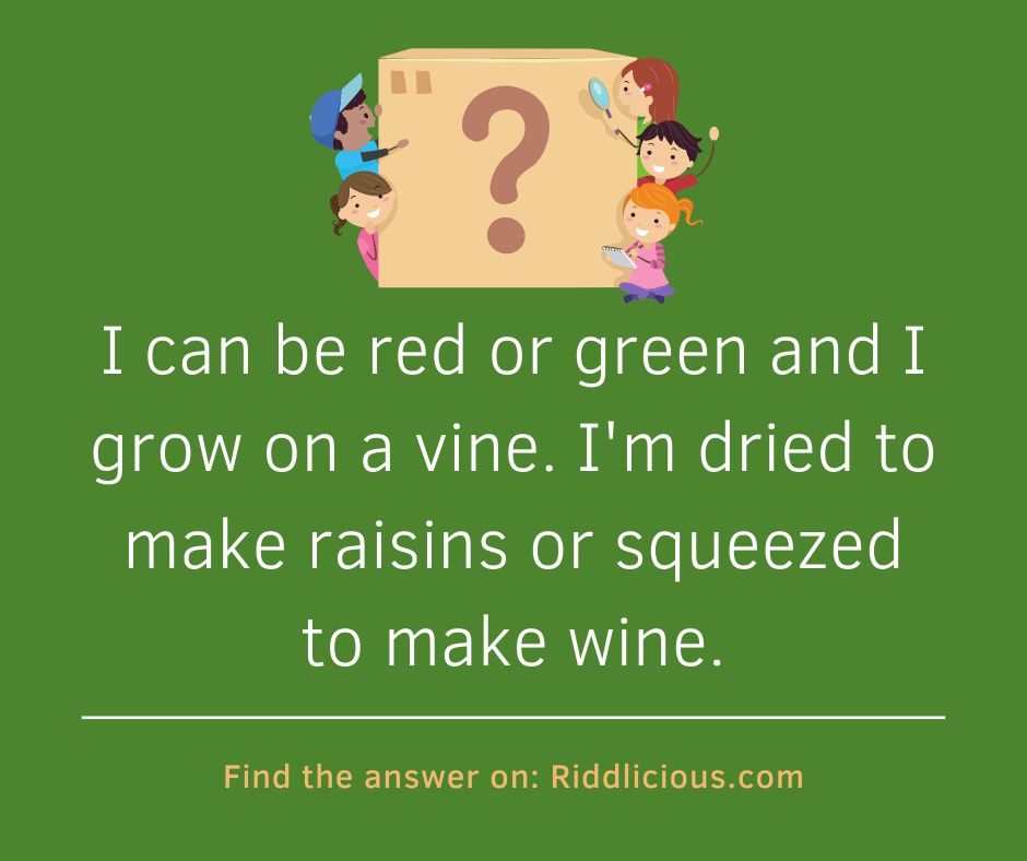 Riddle: I can be red or green and I grow on a vine. I'm dried to make raisins or squeezed to make wine.