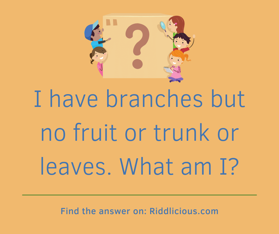 Riddle: I have branches but no fruit or trunk or leaves. What am I?