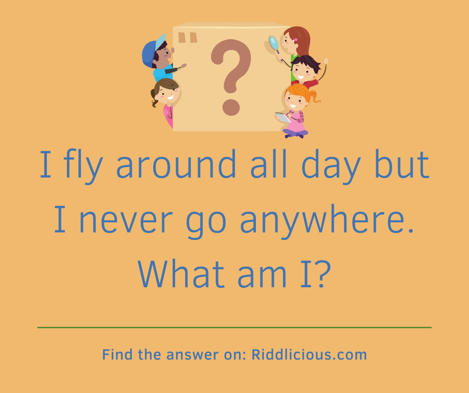Riddle: I fly around all day but I never go anywhere? What am I?