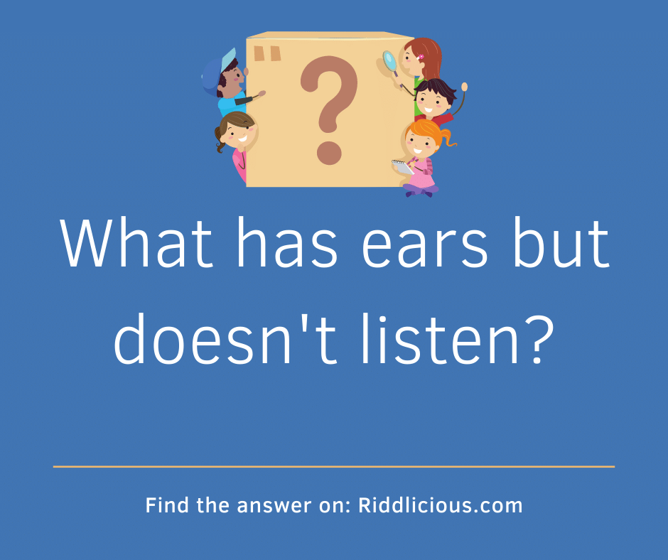 Riddle: What has ears but doesn't listen?