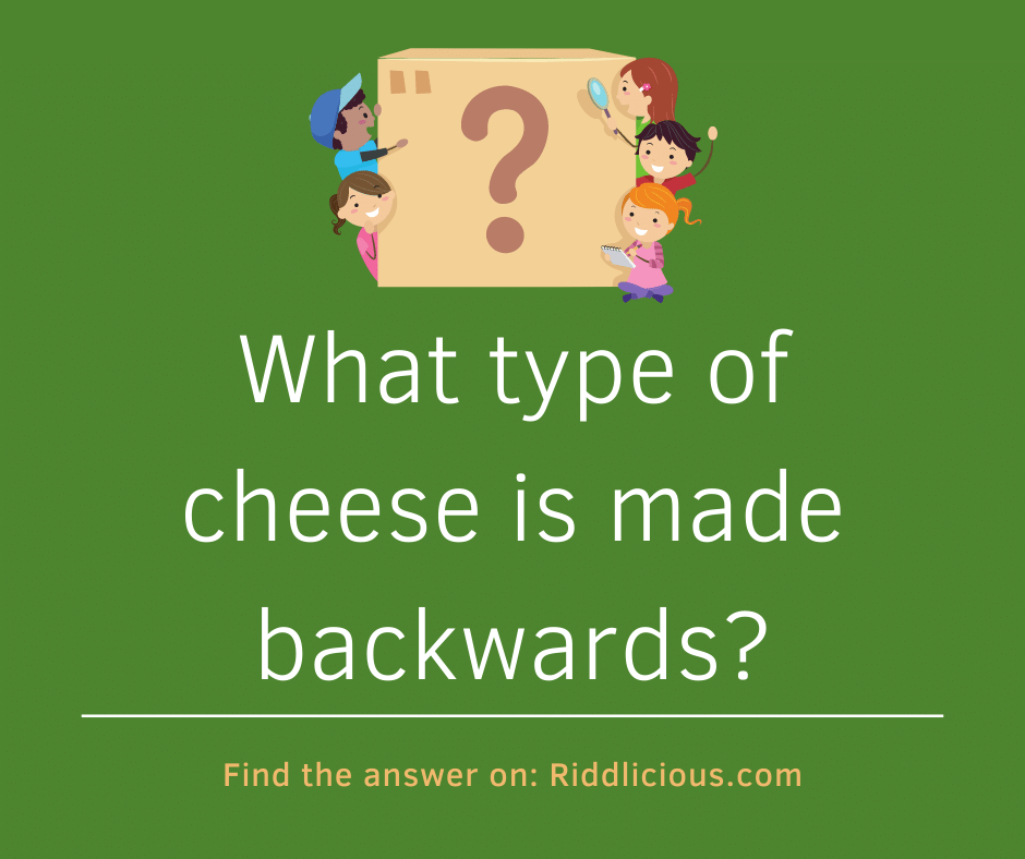 Riddle: What type of cheese is made backwards?