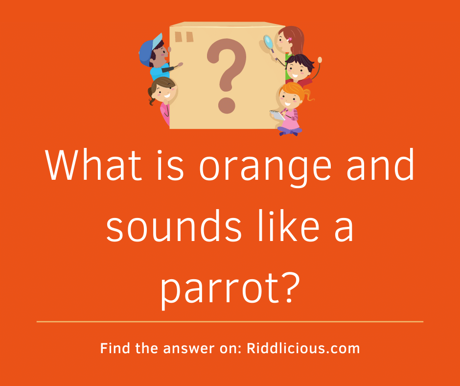 Riddle: What is orange and sounds like a parrot?