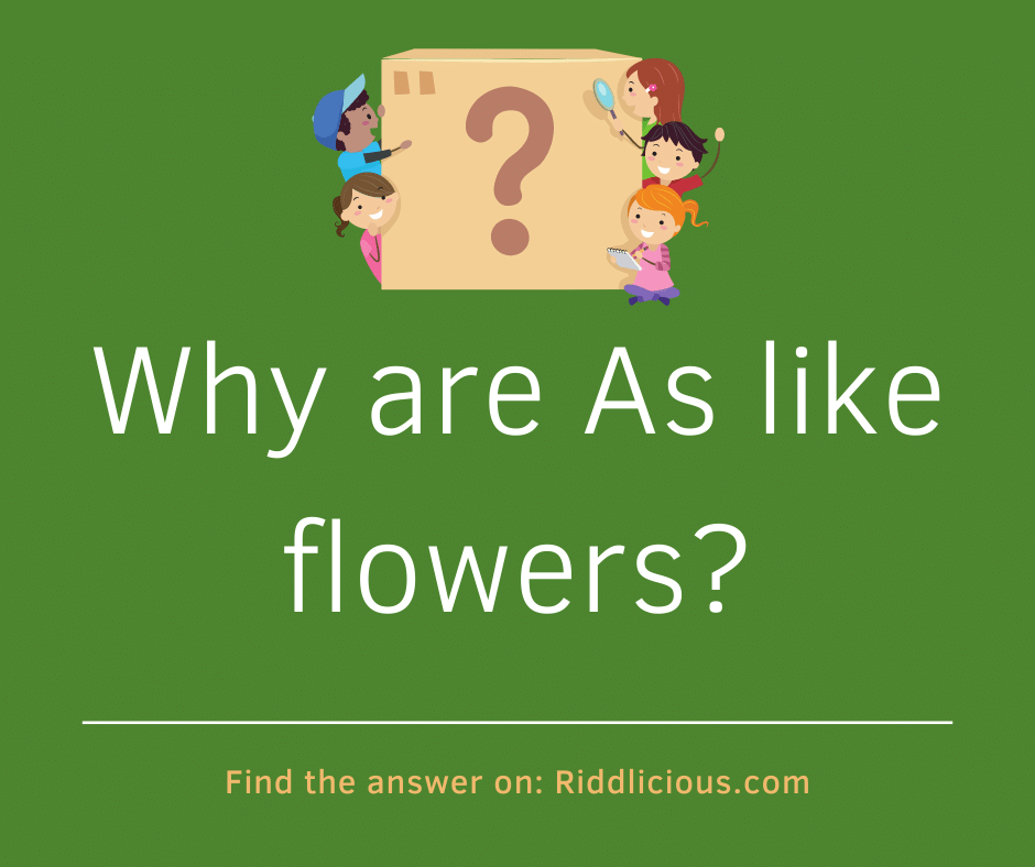 Riddle: Why are As like flowers?