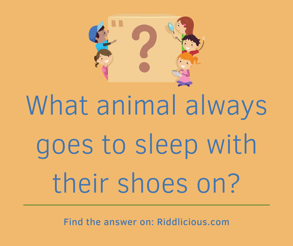 Riddle: What animal always goes to sleep with their shoes on?