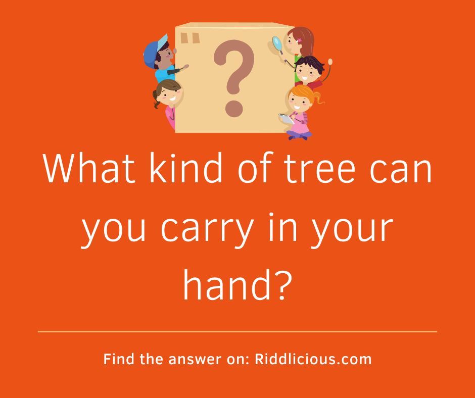 Riddle: What kind of tree can you carry in your hand?
