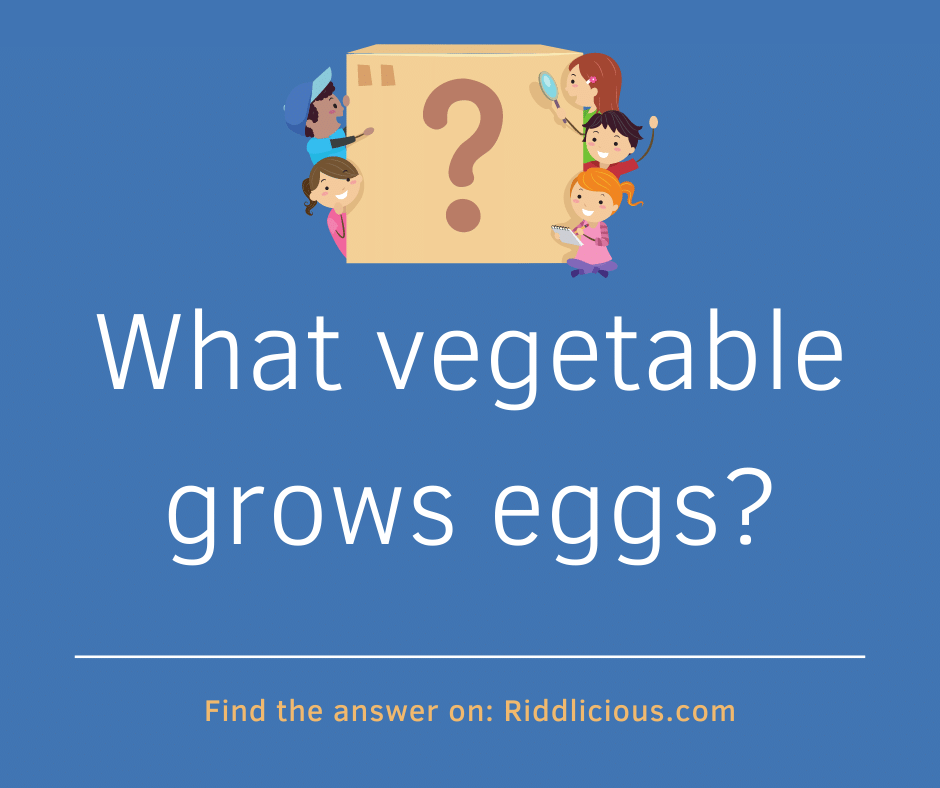 Riddle: What vegetable grows eggs?