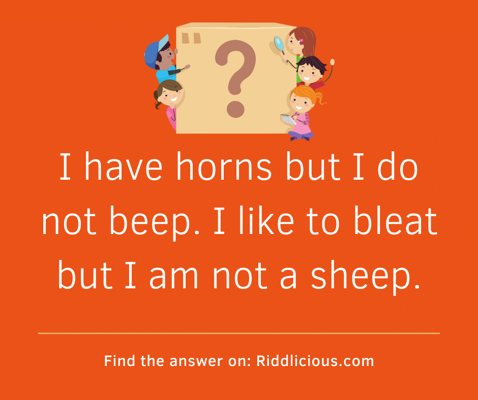 Riddle: I have horns but I do not beep. I like to bleat but I am not a sheep.