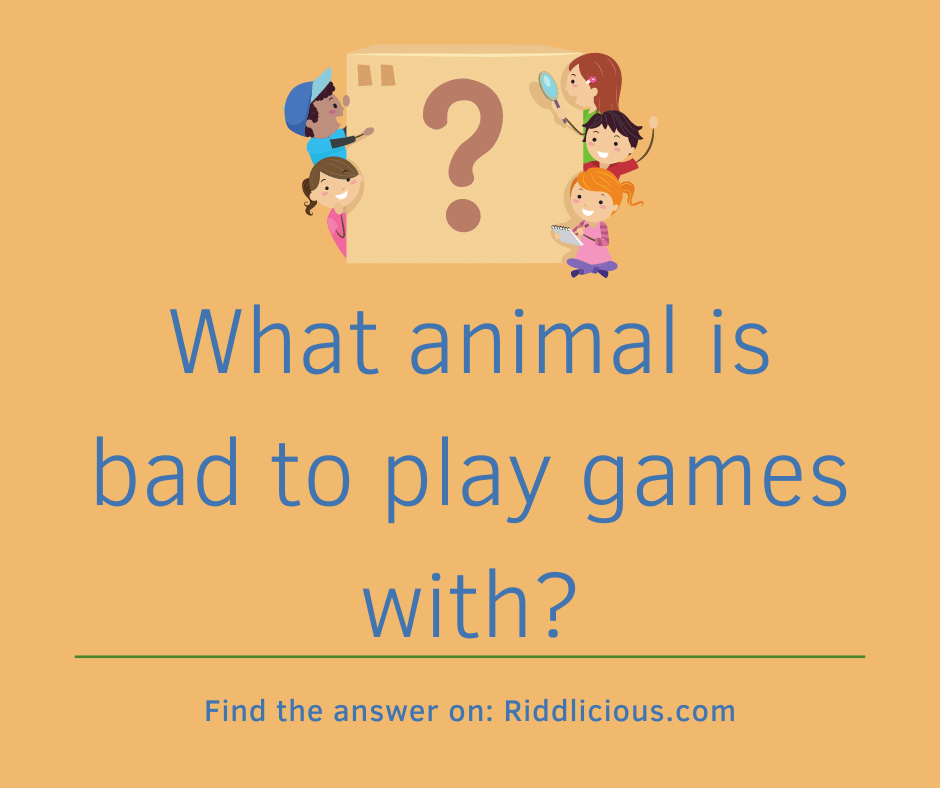 Riddle: What animal is bad to play games with?