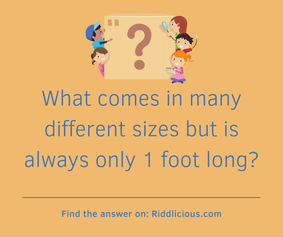 Riddle: What comes in many different sizes but is always only 1 foot long?