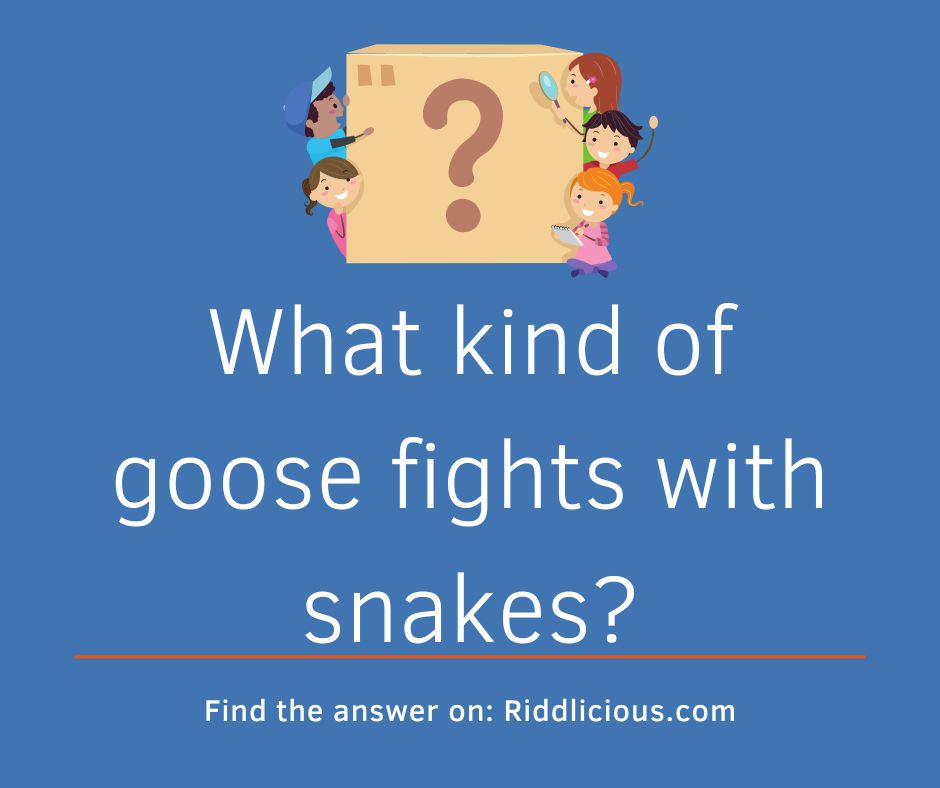 Riddle: What kind of goose fights with snakes?