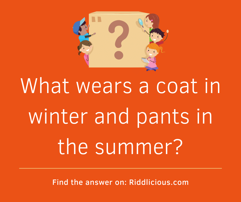 Riddle: What wears a coat in winter and pants in the summer?