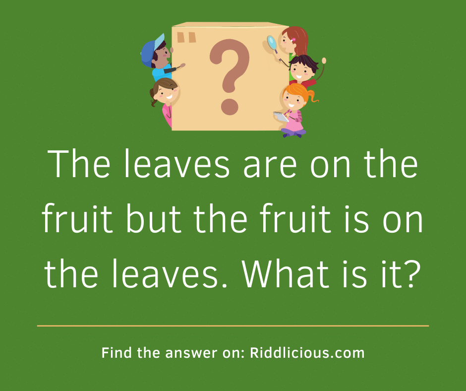 Riddle: The leaves are on the fruit but the fruit is on the leaves. What is it?
