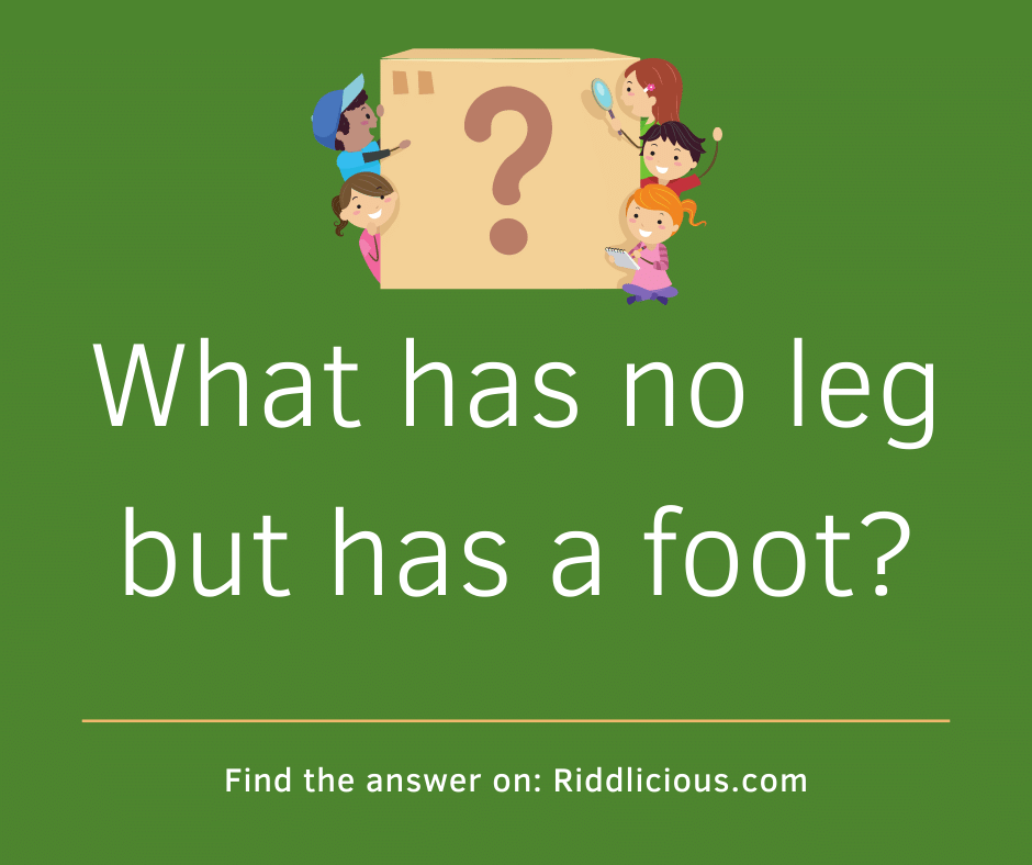 Riddle: What has no leg but has a foot?