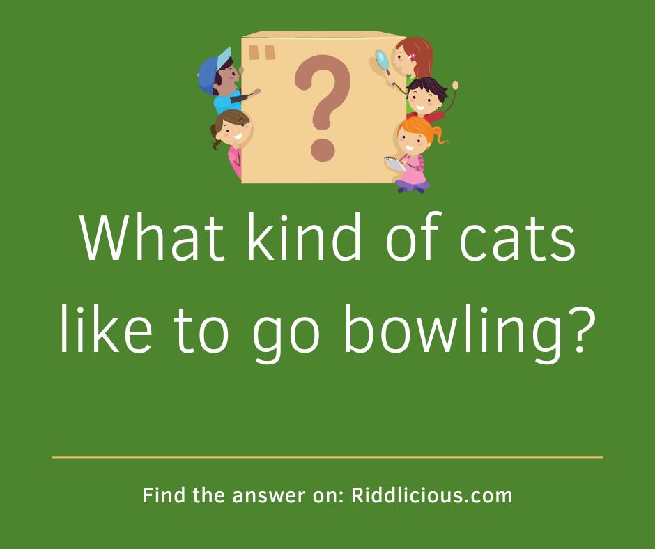 Riddle: What kind of cats like to go bowling?