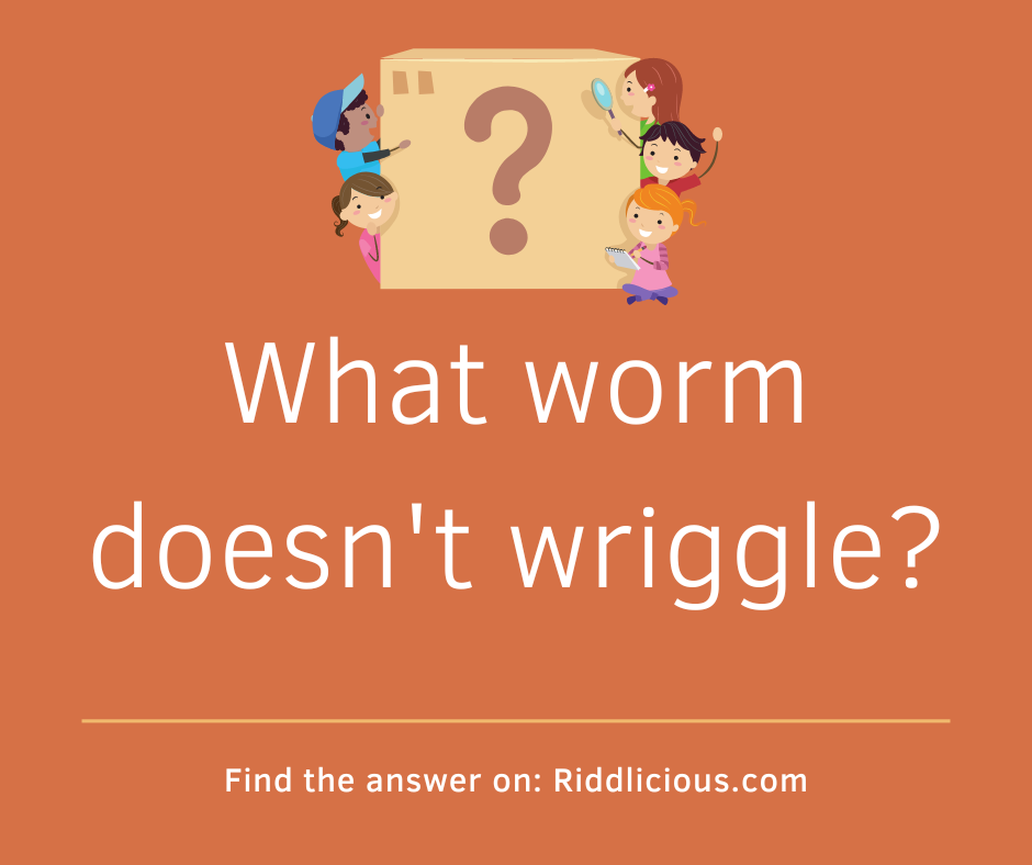Riddle: What worm doesn't wriggle?