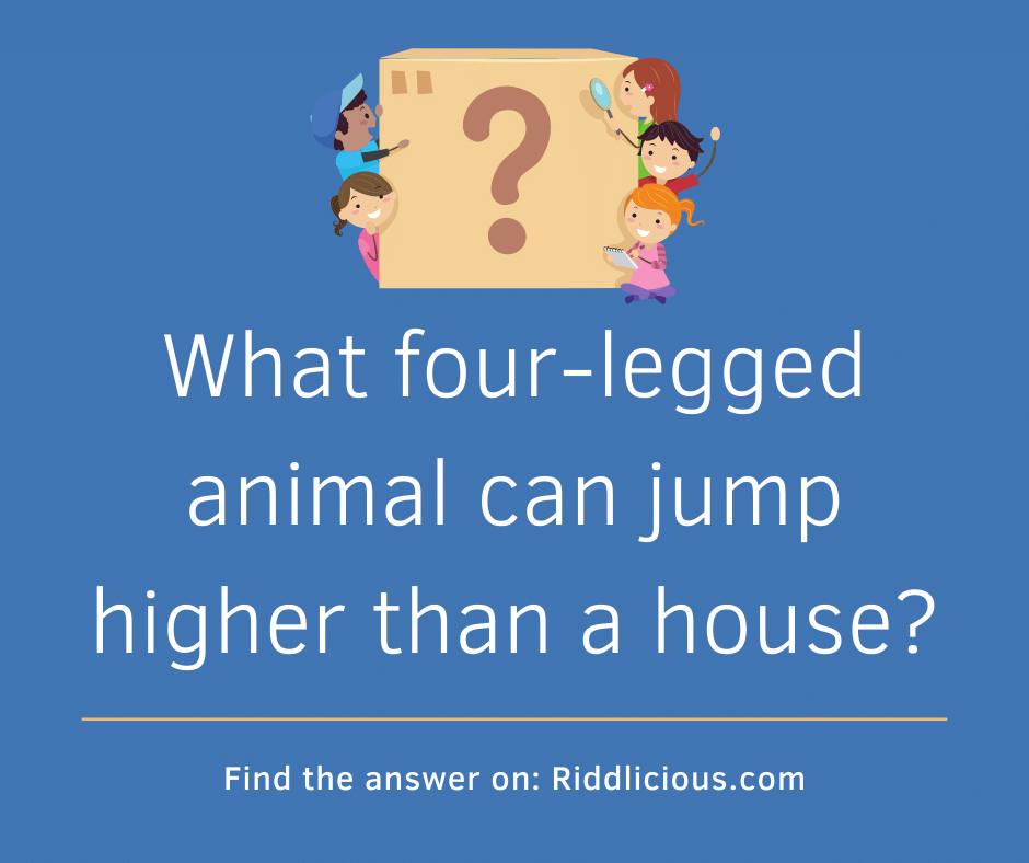 Riddle: What four-legged animal can jump higher than a house?
