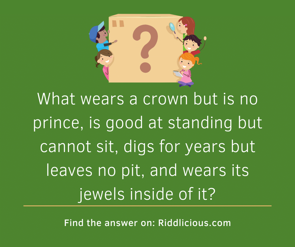 Riddle: What wears a crown but is no prince, is good at standing but cannot sit, digs for years but leaves no pit, and wears its jewels inside of it?