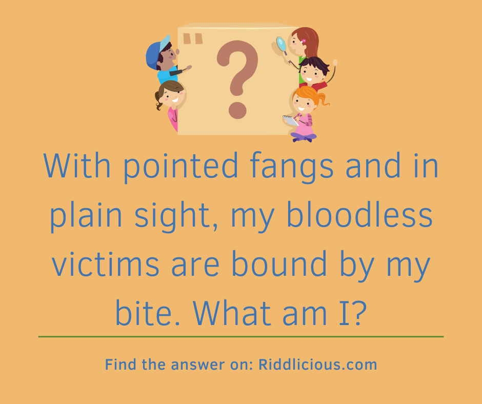 Riddle: With pointed fangs and in plain sight, my bloodless victims are bound by my bite. What am I?