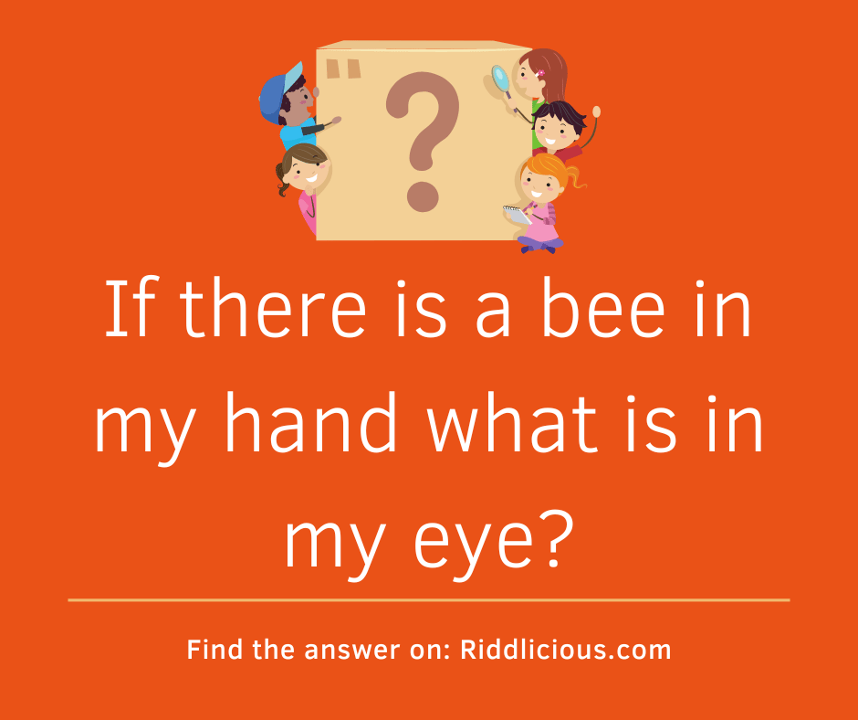 Riddle: If there is a bee in my hand what is in my eye?