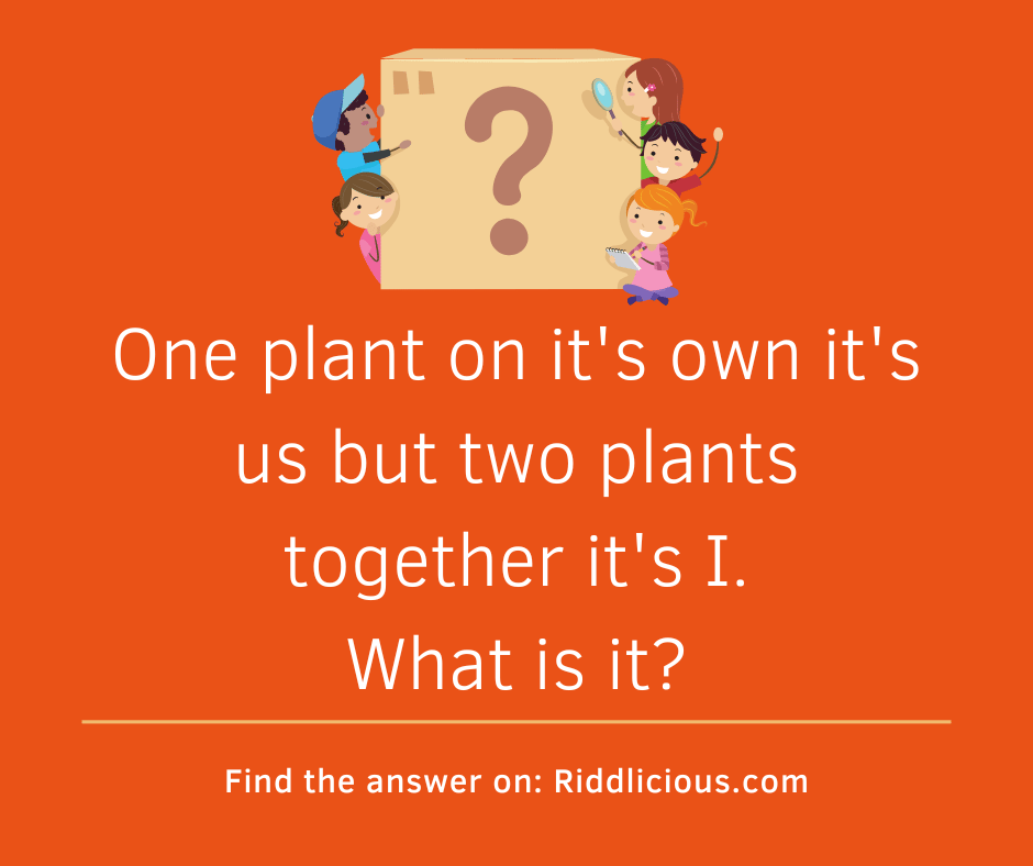 Riddle: One plant on it's own it's us but two plants together it's I. What is it?