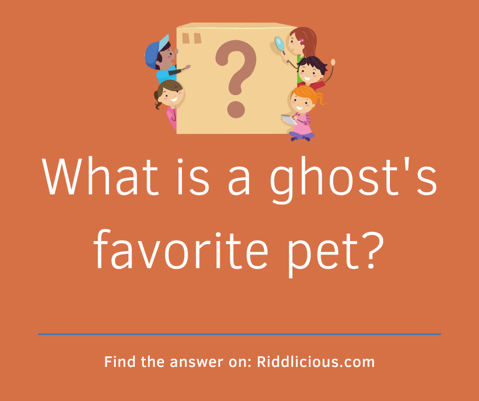 Riddle: What is a ghost's favorite pet?