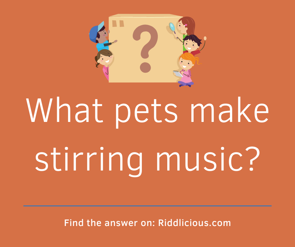 Riddle: What pets make stirring music?