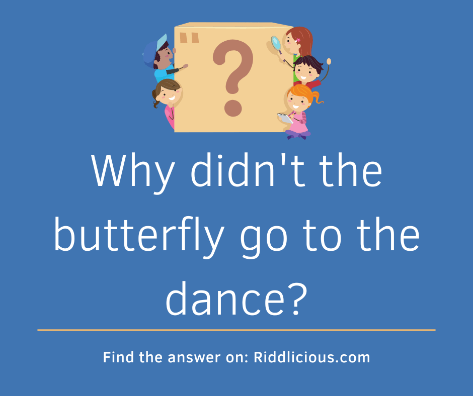 Riddle: Why didn't the butterfly go to the dance?