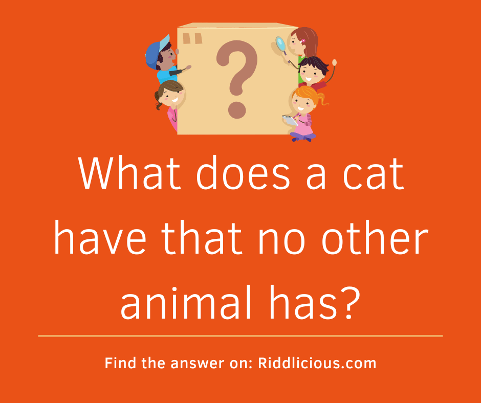 Riddle: What does a cat have that no other animal has?