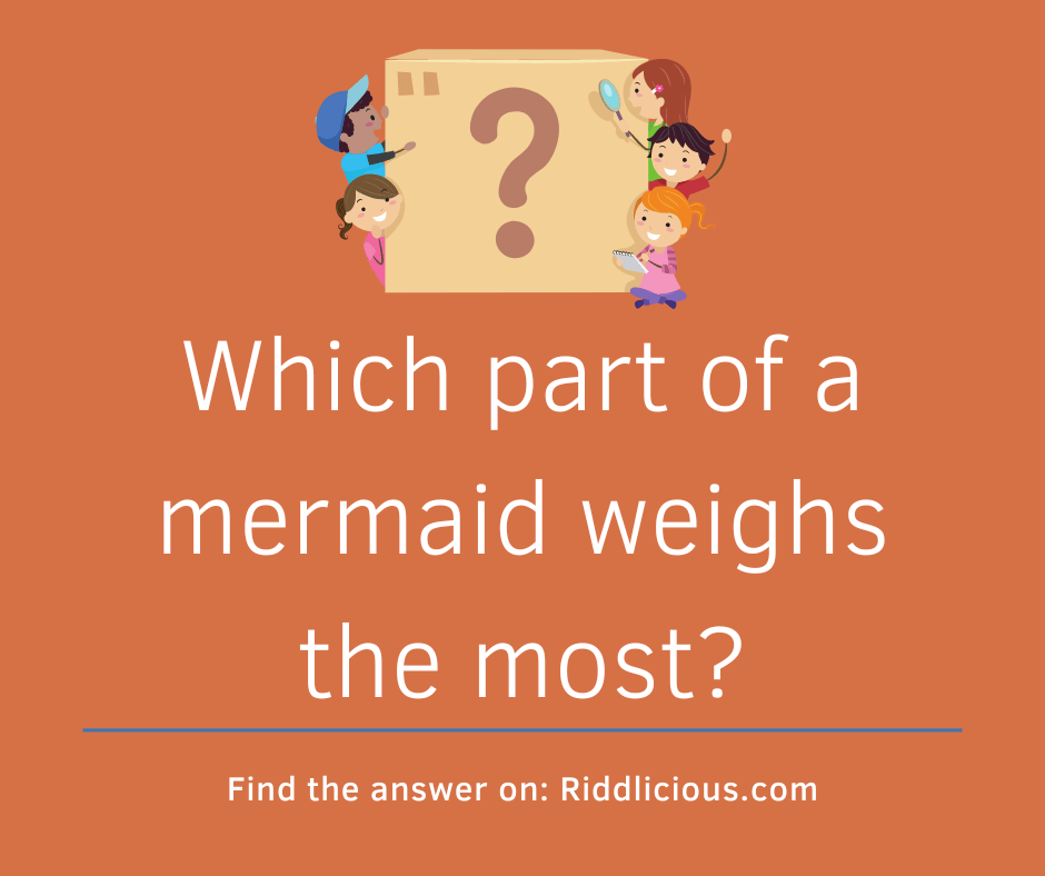 Riddle: Which part of a mermaid weighs the most?