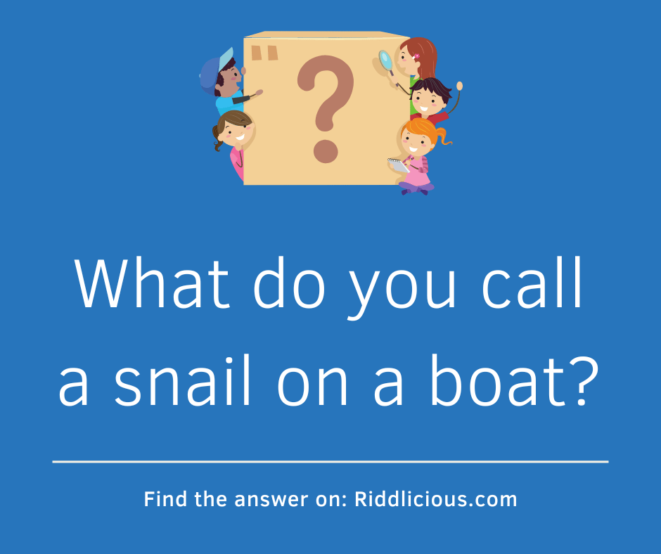 Riddle: What do you call a snail on a boat?
