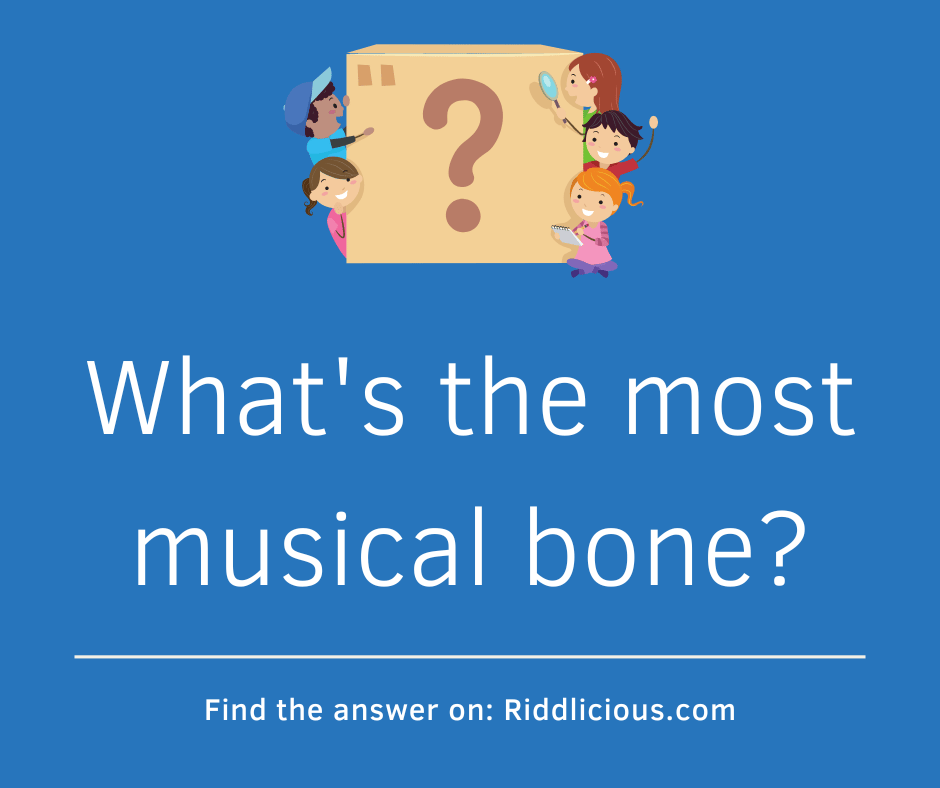 Riddle: What's the most musical bone?