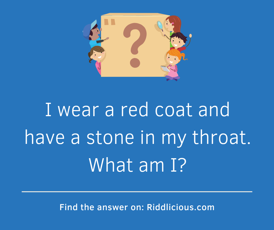 Riddle: I wear a red coat and have a stone in my throat. What am I?