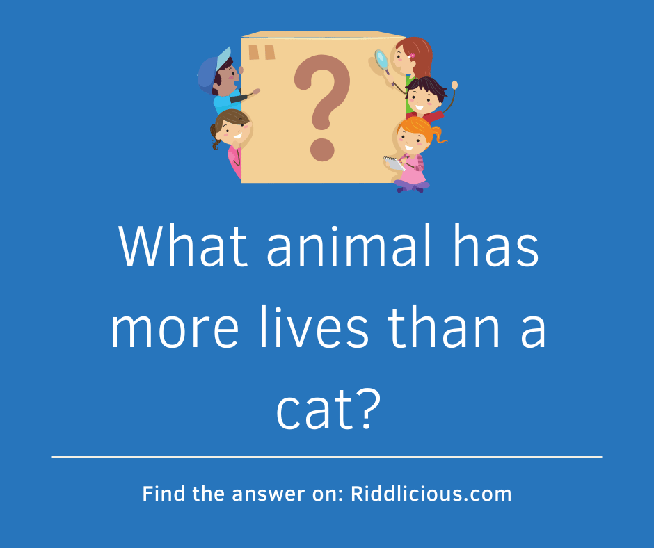 Riddle: What animal has more lives than a cat?