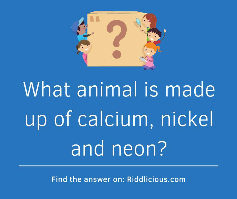 Riddle: What animal is made up of calcium, nickel and neon?