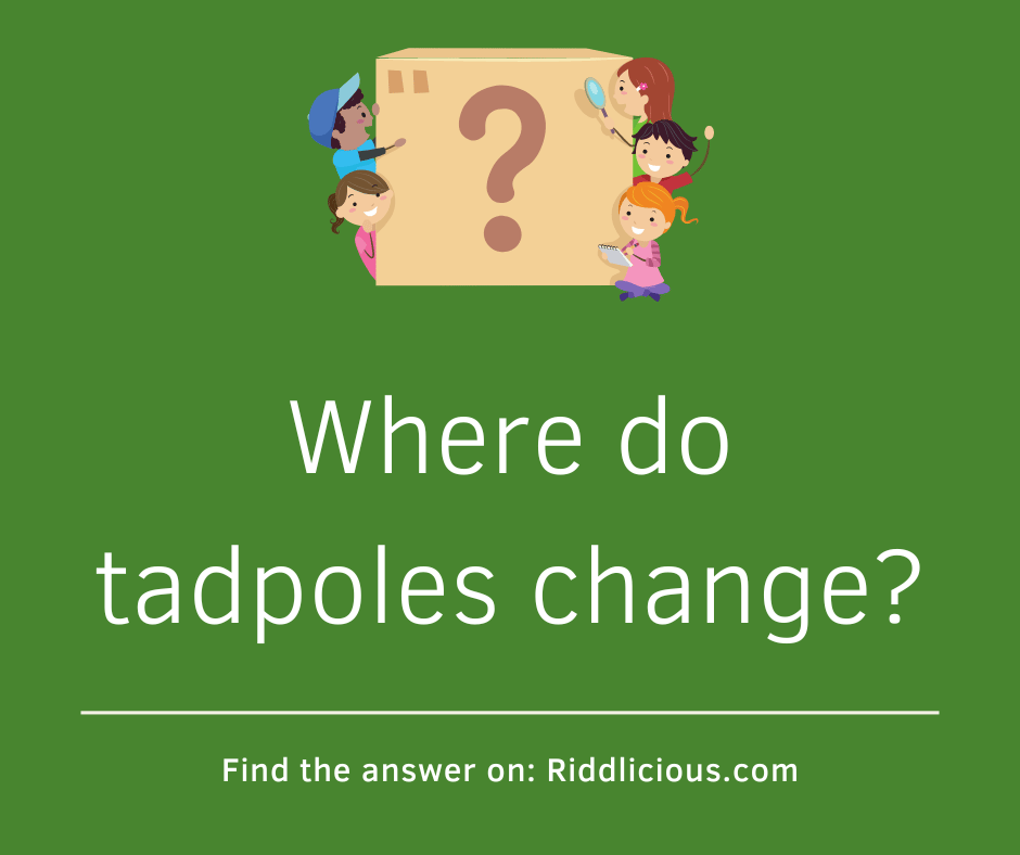Riddle: Where do tadpoles change?