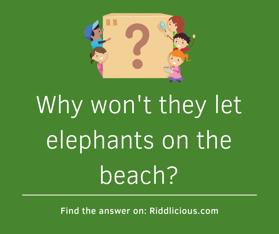 Riddle: Why won't they let elephants on the beach?