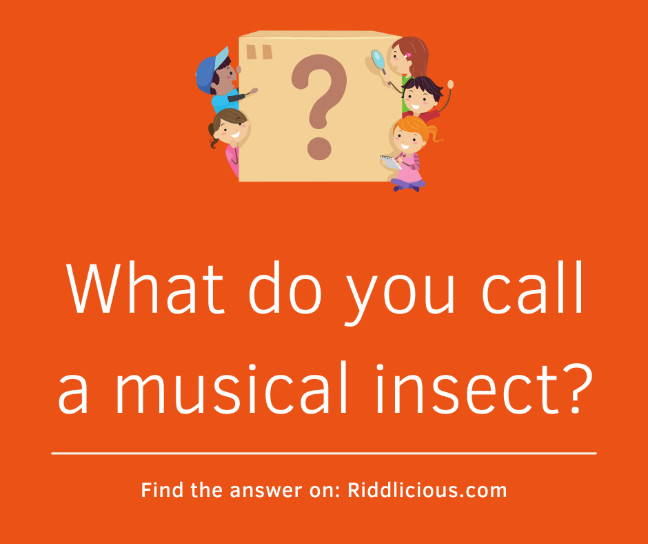 Riddle: What do you call a musical insect?