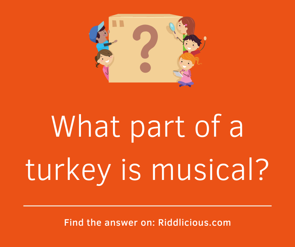 Riddle: What part of a turkey is musical?