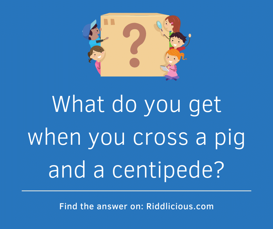 Riddle: What do you get when you cross a pig and a centipede?
