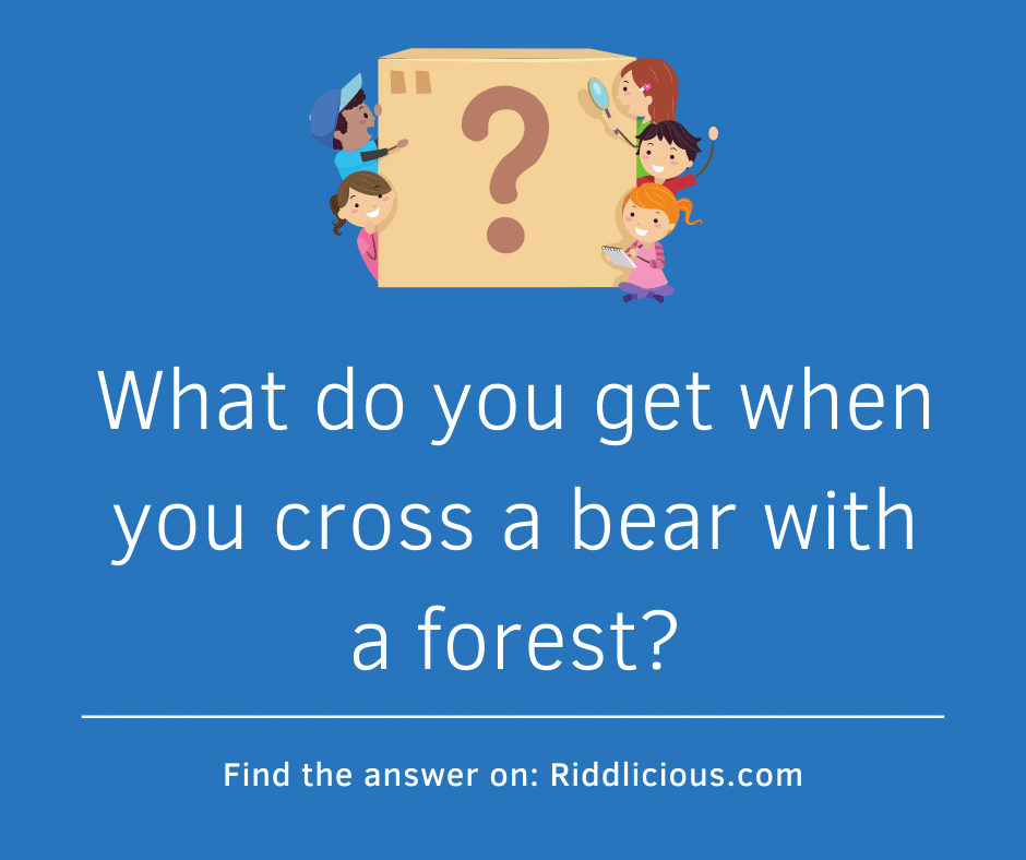 Riddle: What do you get when you cross a bear with a forest?