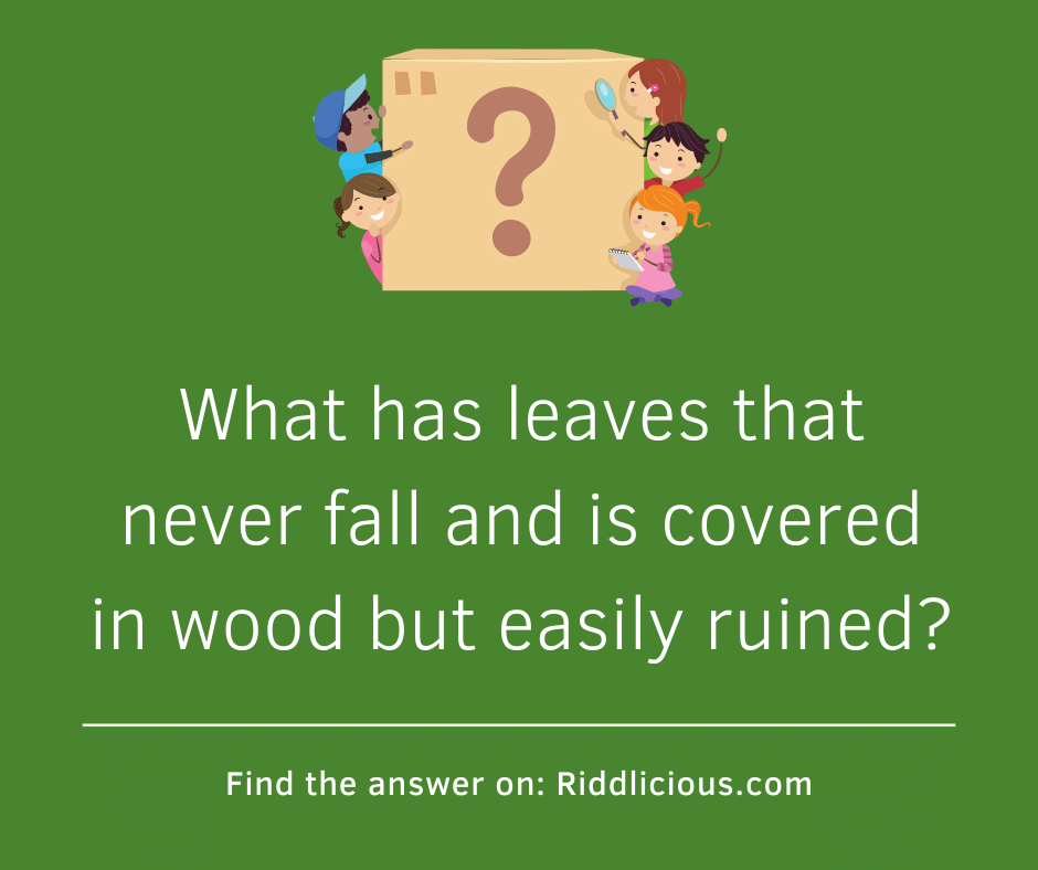 Riddle: What has leaves that never fall and is covered in wood but easily ruined?